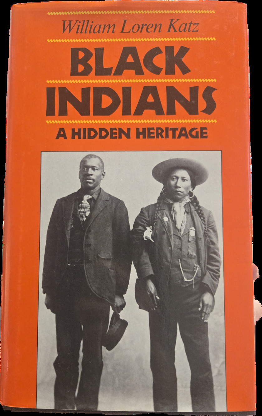 BLACK INDIANS A Hidden Heritage American History Vintage Hardcover Book
